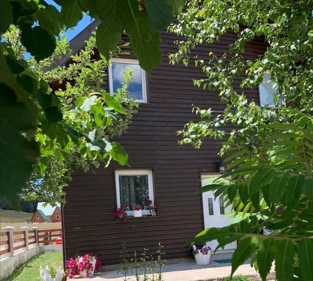 Apartment & Rooms Sweet Dreams Žabljak Exteriör bild